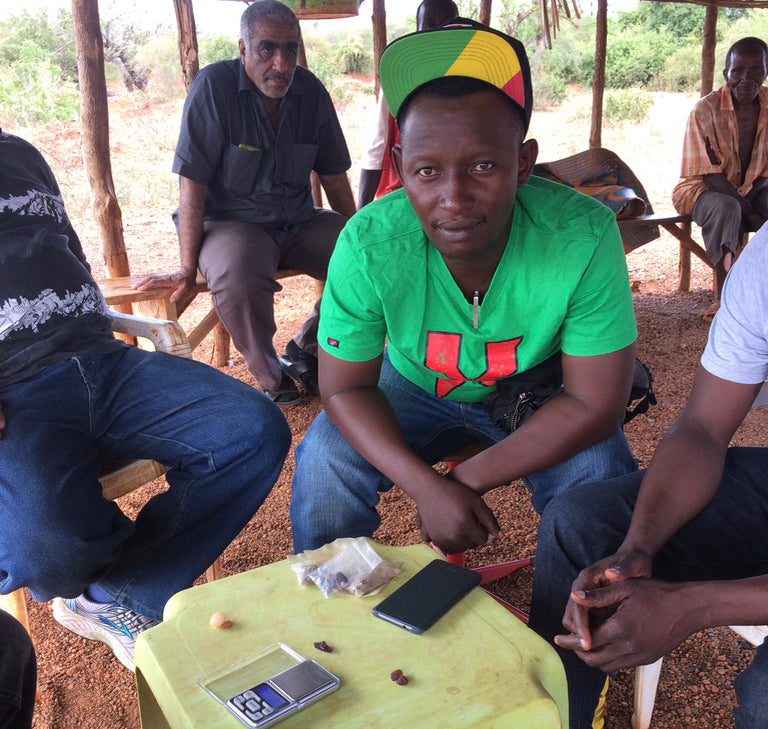 Update on Tanzania Rough Ban