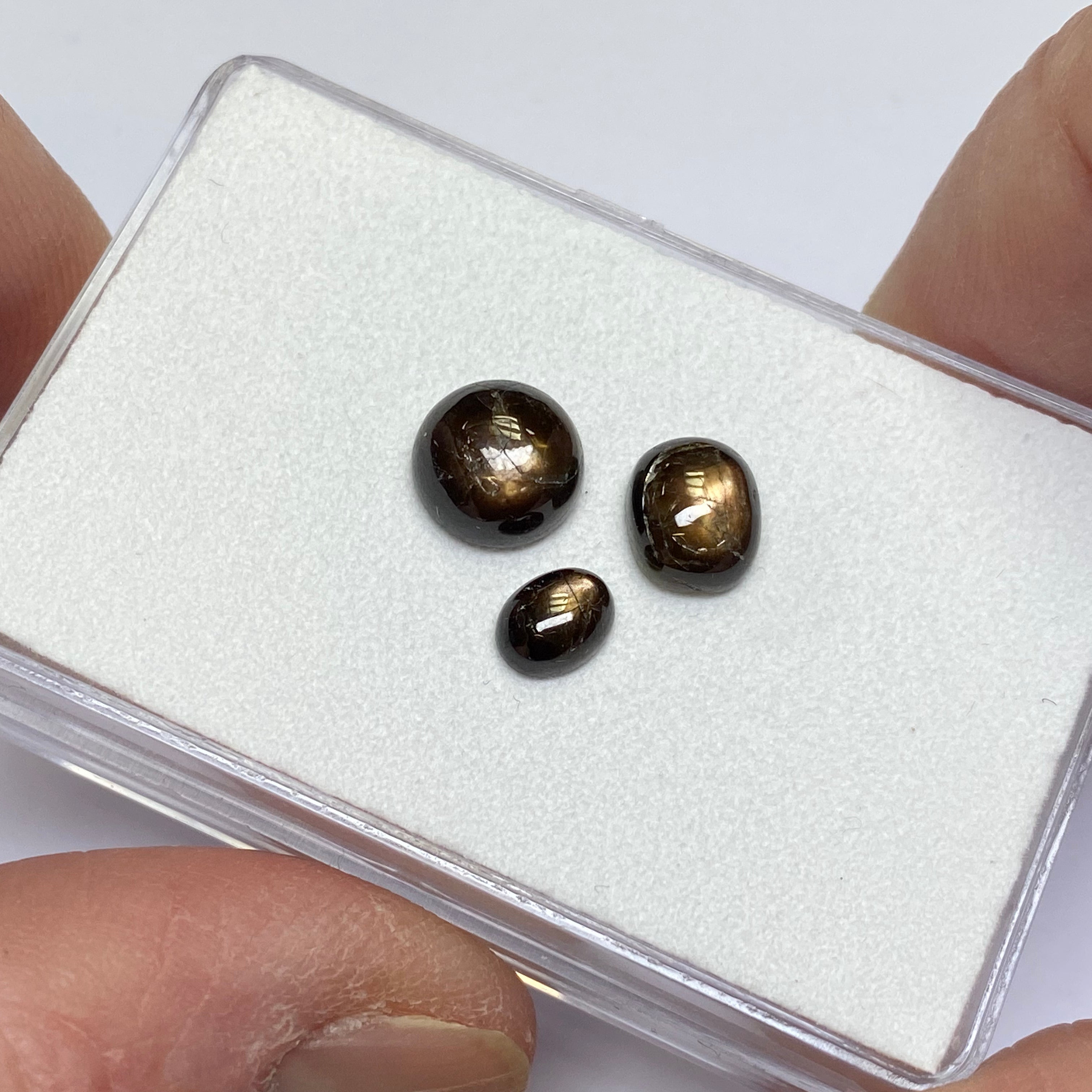 Golden Sheen Sapphire - Kenya (BULK)