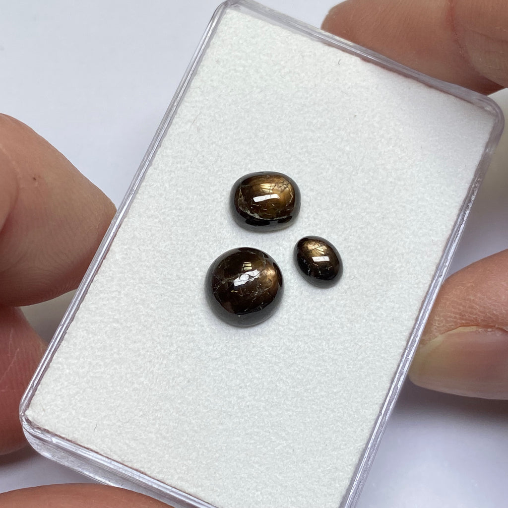 Golden Sheen Sapphire - Kenya (BULK)