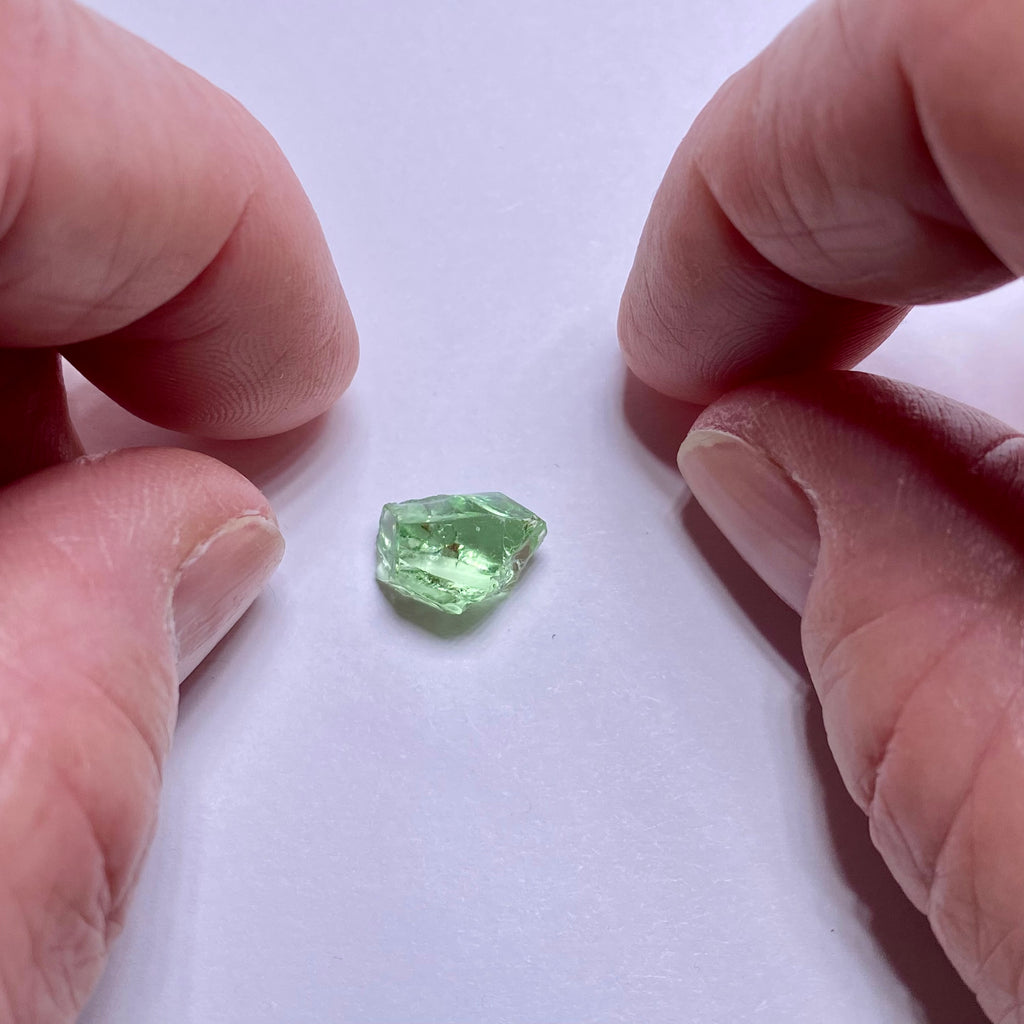 Merelani Mint Garnet - Tanzania