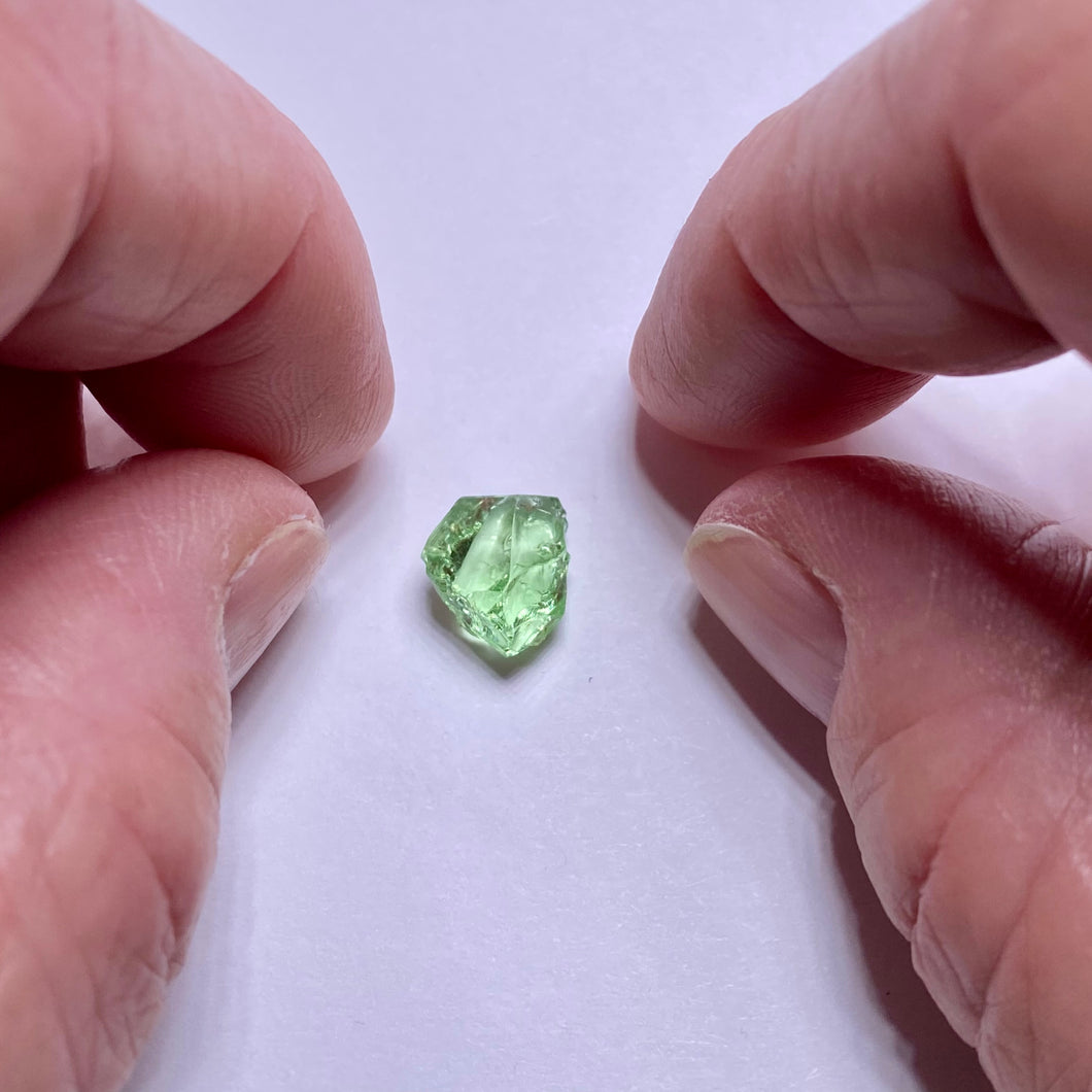 Merelani Mint Garnet - Tanzania