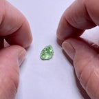 Merelani Mint Garnet - Tanzania