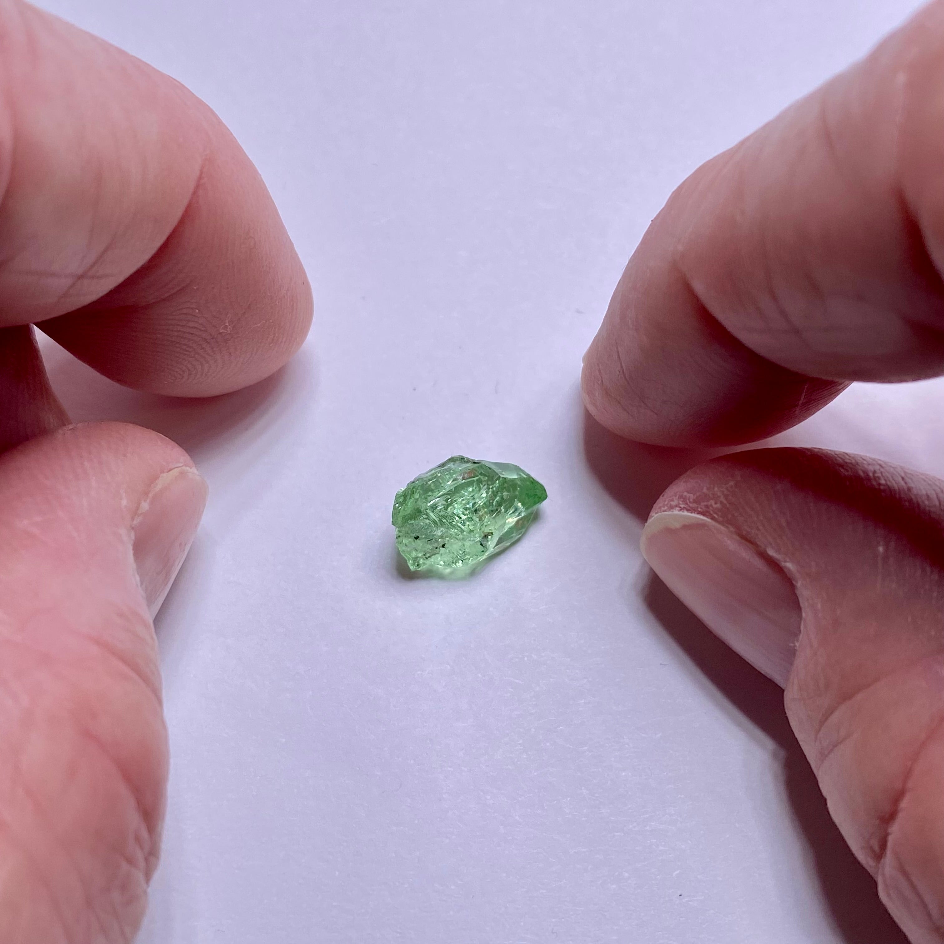 Merelani Mint Garnet - Tanzania