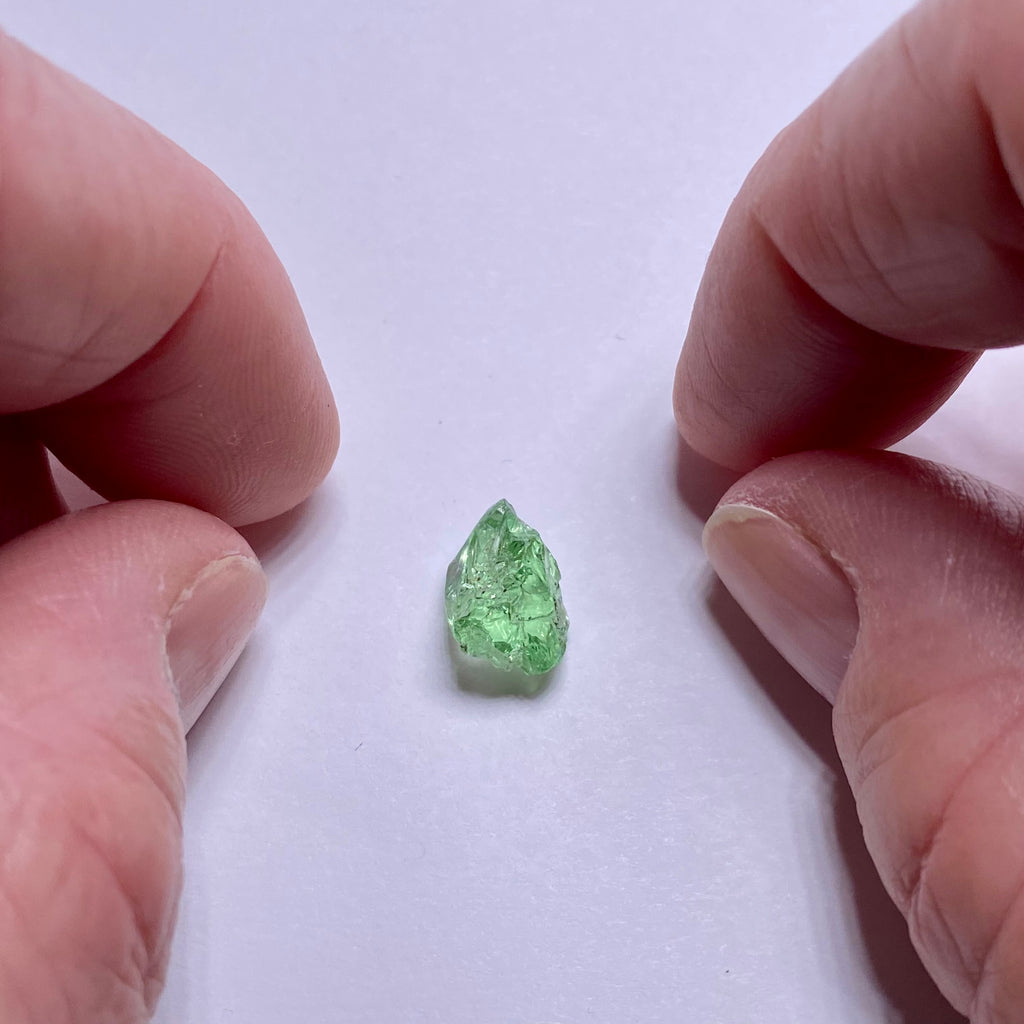 Merelani Mint Garnet - Tanzania