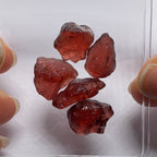 Umba Garnet
