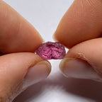 Lindi Garnet - Tanzania