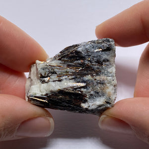 Astrophylite - Russia