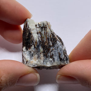 Astrophylite - Russia