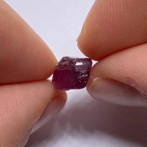 Rhodolite - Tanzania