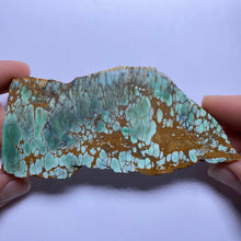 Load image into Gallery viewer, Webbed Variscite - Australia
