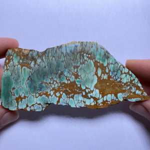 Webbed Variscite - Australia