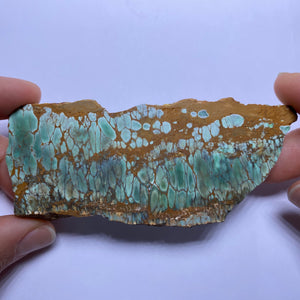 Webbed Variscite - Australia