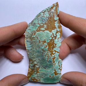 Webbed Variscite - Australia