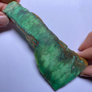 Webbed Variscite - Australia