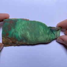 Load image into Gallery viewer, Webbed Variscite - Australia
