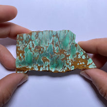 Load image into Gallery viewer, Webbed Variscite - Australia
