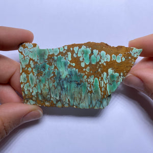 Webbed Variscite - Australia