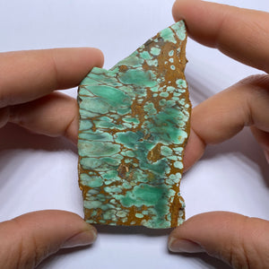 Webbed Variscite - Australia