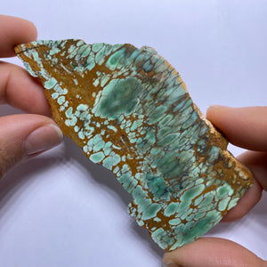 Webbed Variscite - Australia