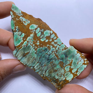 Webbed Variscite - Australia