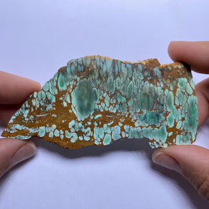 Webbed Variscite - Australia