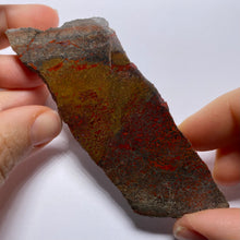 Load image into Gallery viewer, Agatized Dinosaur Bone — Utah
