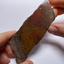 Load image into Gallery viewer, Agatized Dinosaur Bone — Utah
