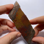 Agatized Dinosaur Bone — Utah