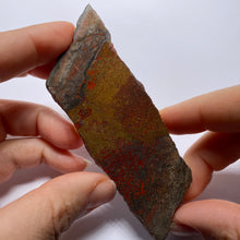 Load image into Gallery viewer, Agatized Dinosaur Bone — Utah
