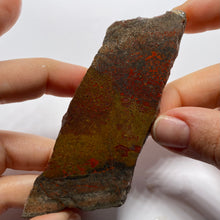 Load image into Gallery viewer, Agatized Dinosaur Bone — Utah
