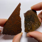 Agatized Dinosaur Bone — Utah