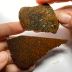 Agatized Dinosaur Bone — Utah