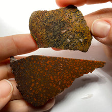 Load image into Gallery viewer, Agatized Dinosaur Bone — Utah
