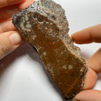 Agatized Dinosaur Bone — Utah