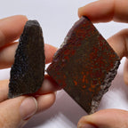 Agatized Dinosaur Bone — Utah