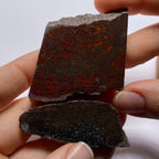 Agatized Dinosaur Bone — Utah