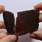 Agatized Dinosaur Bone — Utah