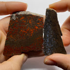 Agatized Dinosaur Bone — Utah