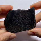 Agatized Dinosaur Bone — Utah