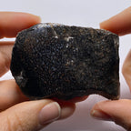 Agatized Dinosaur Bone — Utah