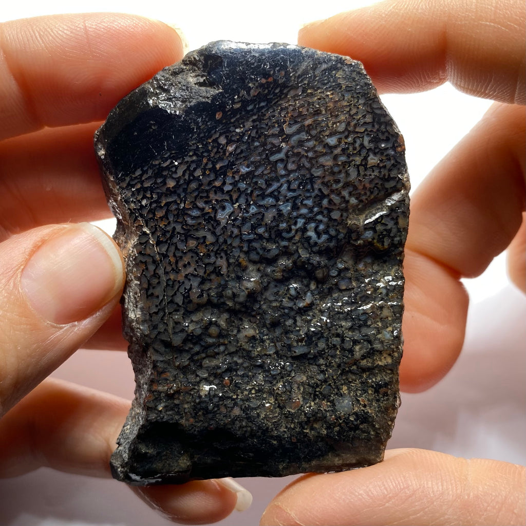 Agatized Dinosaur Bone — Utah