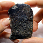 Agatized Dinosaur Bone — Utah