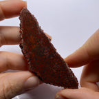 Agatized Dinosaur Bone — Utah