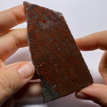 Load image into Gallery viewer, Agatized Dinosaur Bone — Utah
