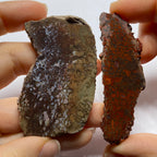 Agatized Dinosaur Bone — Utah