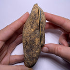 Burmese Jadeite Jade Nodule