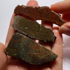 Agatized Dinosaur Bone — Utah