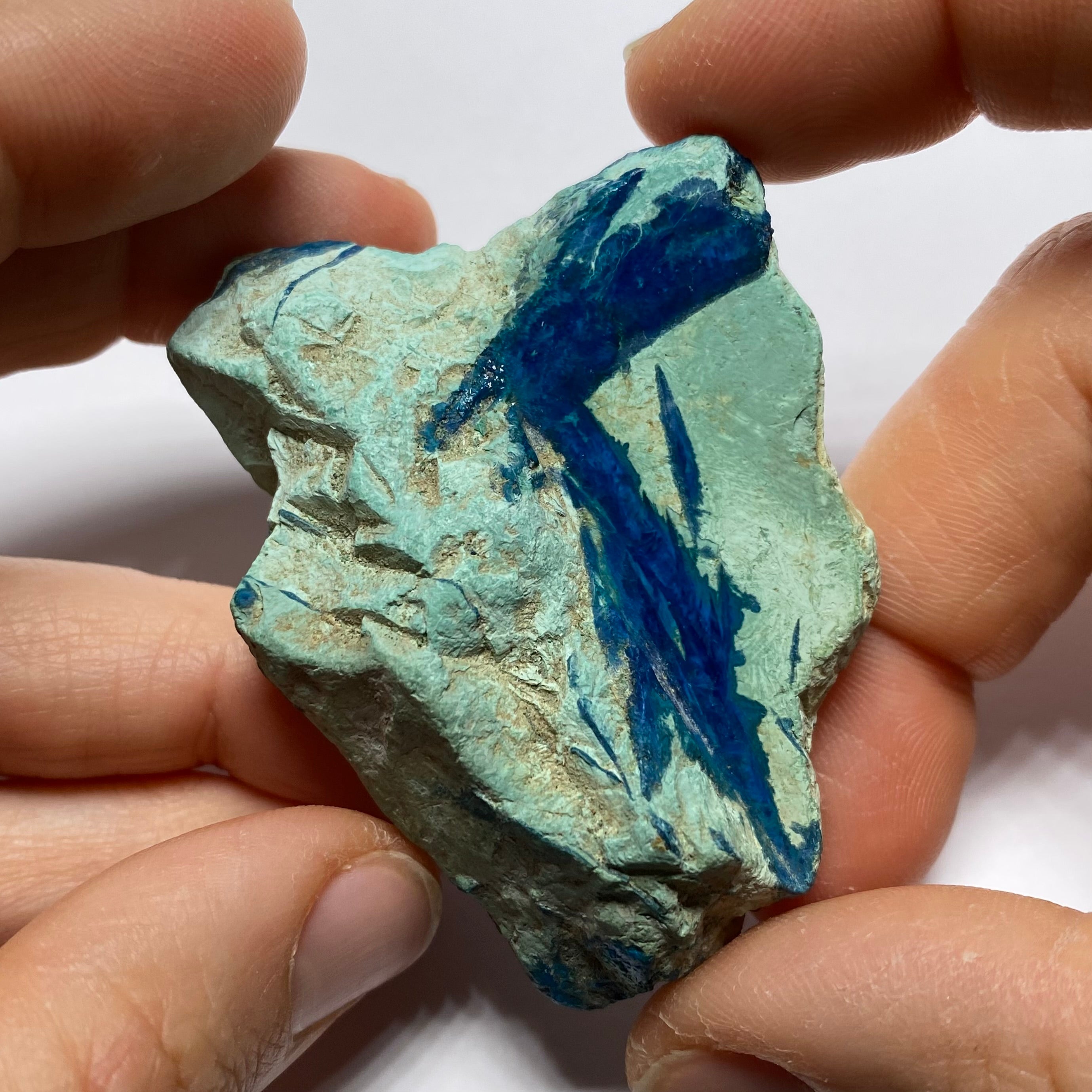 Eilat Stone - Israel