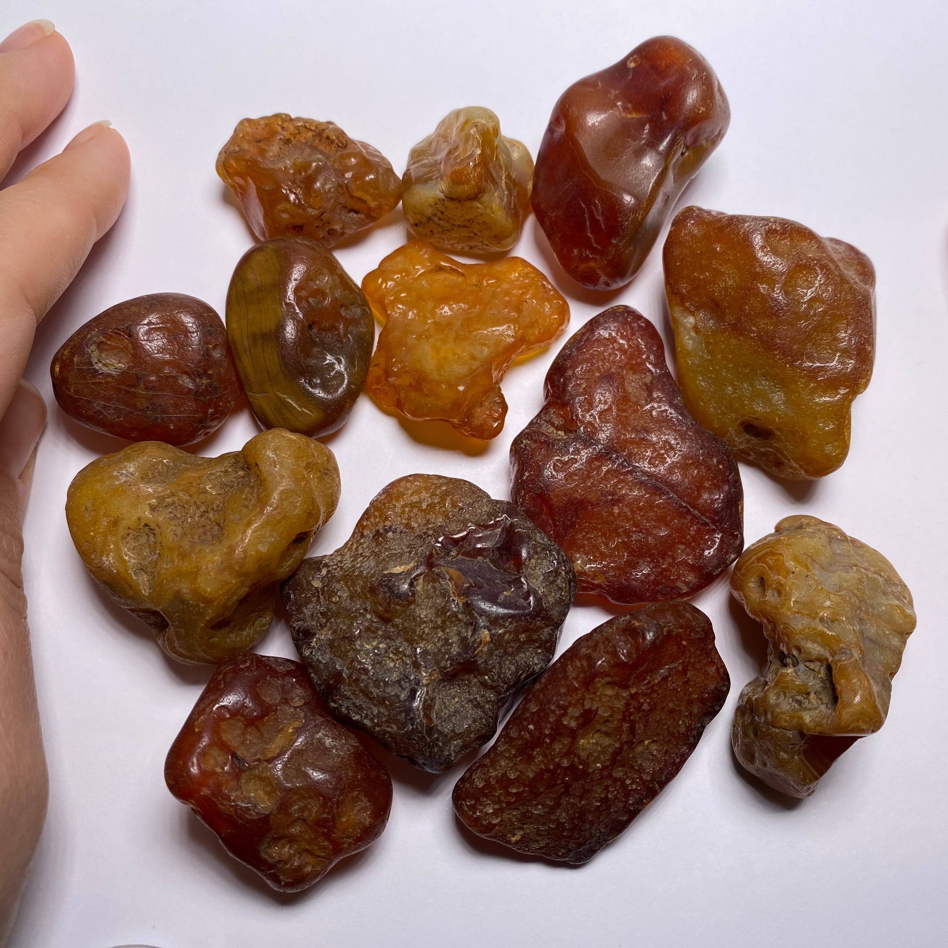 Chalcedony var. Carnelian