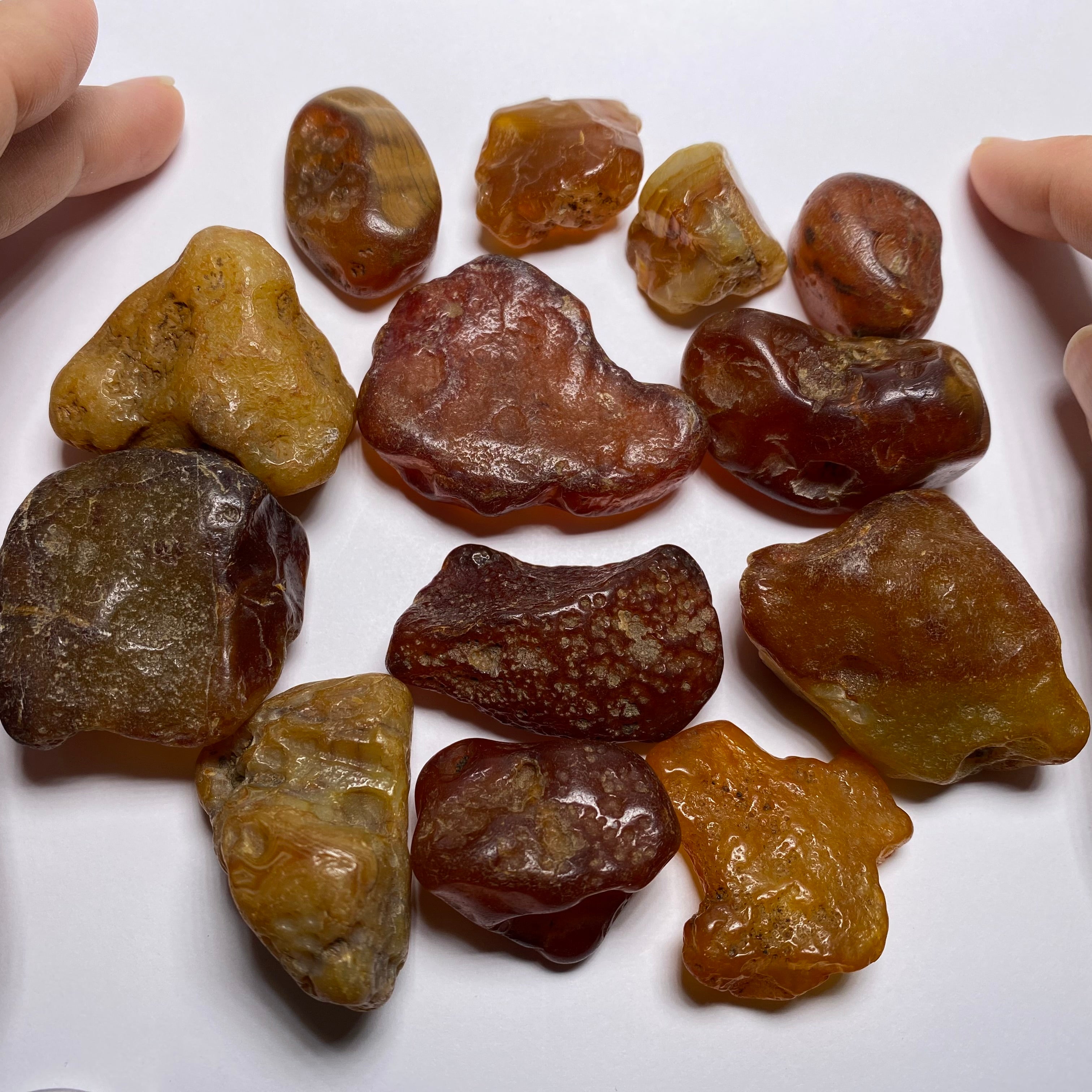 Chalcedony var. Carnelian